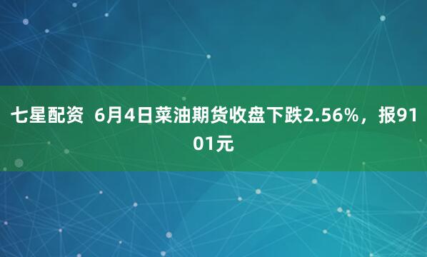 七星配资  6月4日菜油期货收盘下跌2.56%，报9101元